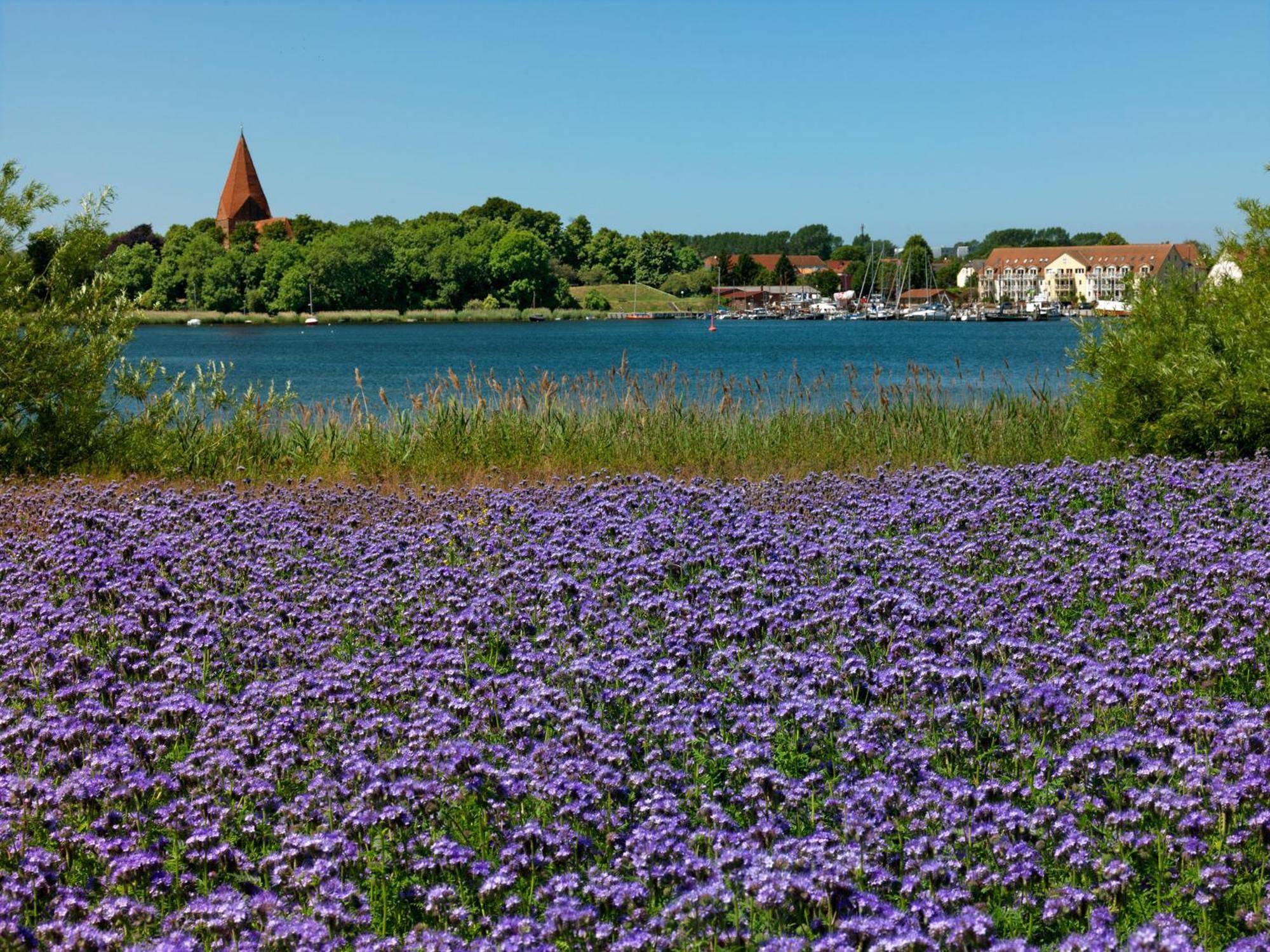 Апартаменти Residenz Am Yachthafen Windspiel Kirchdorf  Екстер'єр фото